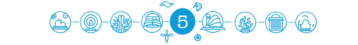 5